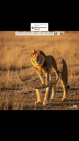 Réponse à @Officiel01 