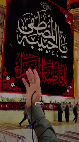 يا حرز القلب في ساعات البلاء..🍂 #يا_فاطمة_الزهراء #الليالي_الفاطمية  #لطميات #ألحان #عزاء