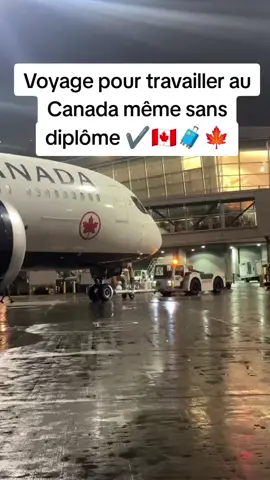 voyage pour travailler au Canada même sans diplôme 🍁🧳✔️🇨🇦  #ft #france #canada🇨🇦 #voyage #pourtoi 