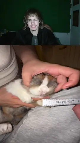 #clipfarming #streamclips #fyp #wladi #wladiclips 