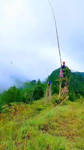 bagian 9,06 mancing burung dadali, mancing burung walet, mncing manuk, mancing sriti #padahariini #mancing burung #estetik #vibes #fyp 