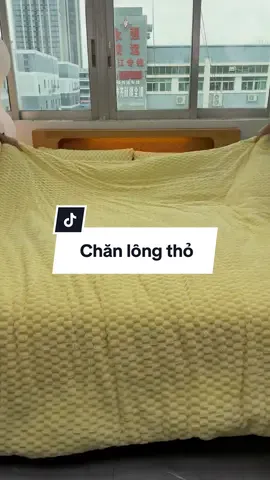 Chăn lông thỏ mềm mịn ấm áp #chanlongtho #decor #fyp #toptrending #xuhuongtiktok 