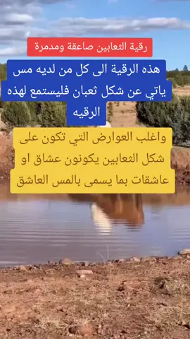 رقية شرعية قوية جداً  هذه الرقية الى كل من يعاني من المس العاشق الذي ياتيه بصوره ثعبان فاستمعوا الى هذه الرقيه بالتكرار واكتب لنا بماذا احسستم  ساعدونا في الاكسبلور وعملوا جيم لان حسابي عليه حظر بارك الله فيك  #بسم_الله_الرحمن_الرحيم #الرقية_الشرعية #رقية_شرعية #رقية #الرقية 