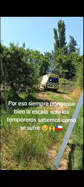 #fypシ゚viral🖤tiktok #🥹❤️‍ #fyp #fyp🙂‍↔️ #temporerosbolivianos🇧🇴🇨🇱 