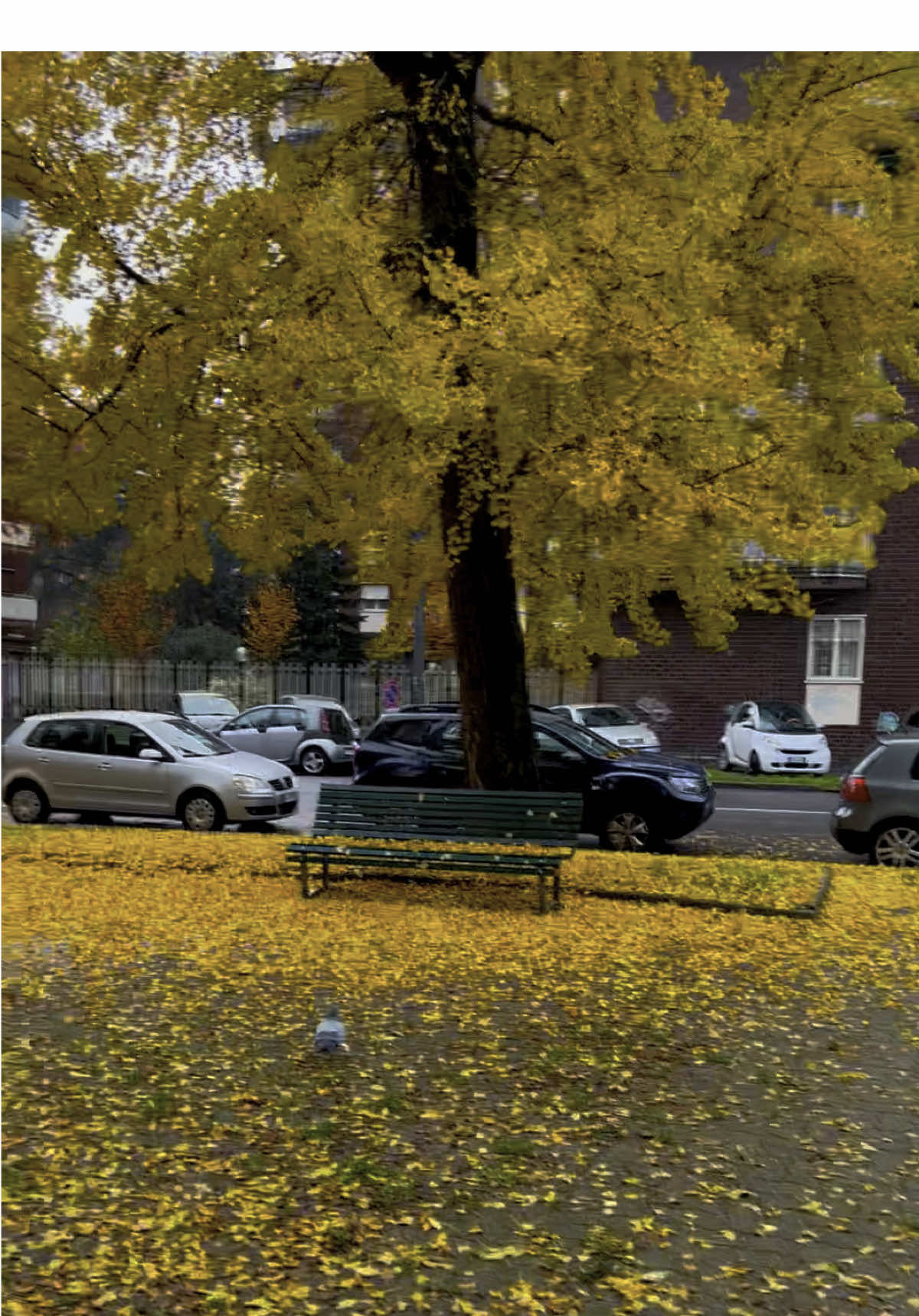 #mimoun_eloujdi #ميلانو🇮🇹シ 