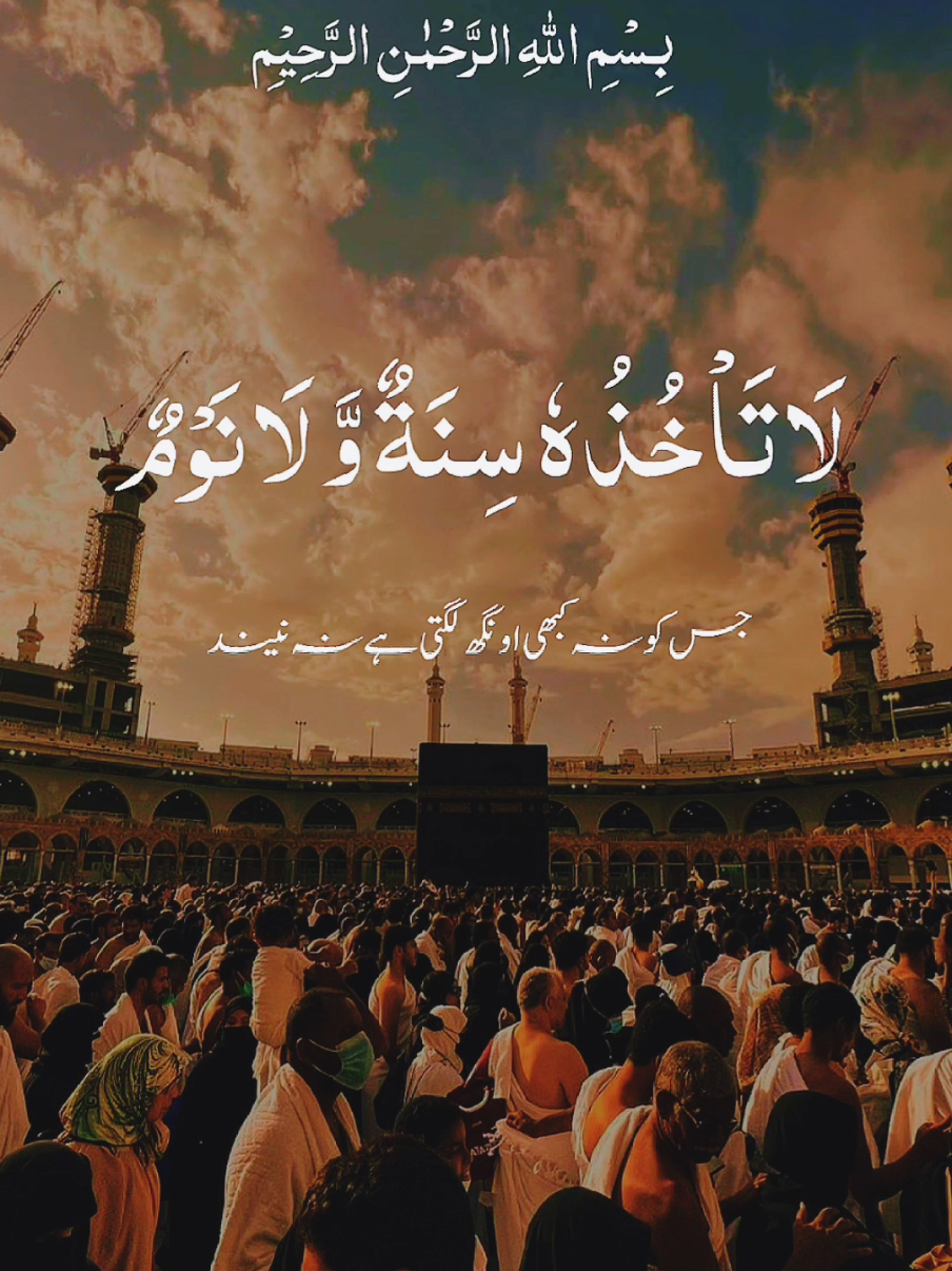 Al Qur'an Al Kareem #islamicquotes #quranVerses #HadithOfTheDay #islamicreminder 