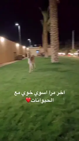 هههههههههههههههههههههههههههههههههههههههه #الشعب_الصيني_ماله_حل😂 #اكسبلور 