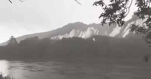 ##شعراء_وذواقين_الشعر_الشعبي #الشعب_الصيني_ماله_حل😂😂 