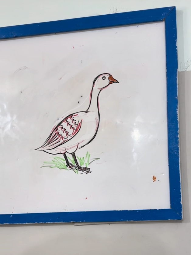 رسم بطة #مشاهير_تيك_توك  #الشعب_الصيني_ماله_حل😂😂 