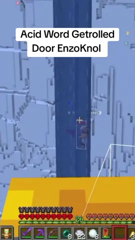 Acid Word Geprankt Door EnzoKnol @Enzo Knol @Acid² #creatorsmp #csmp #fyp #prank 