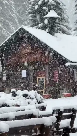 #محسن_ال_مطارد #نجران #اكسبلور #اليمن #explore 