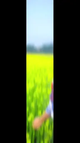 কি ভেবেছিলে😒😒 #viraltiktok #tiktokviral #ফেনীয়ানforyo 