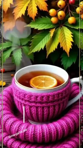 #доброеутро #вторник #утро #новое #видео 