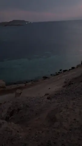 🥺🥺#حقل #تصويري #تبوك #fypツ 