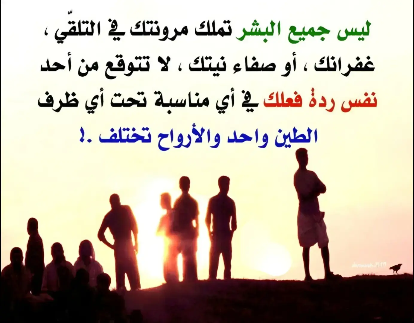 #اكسبلور  #عبارات  #fyp  #foryoupage  #explore 