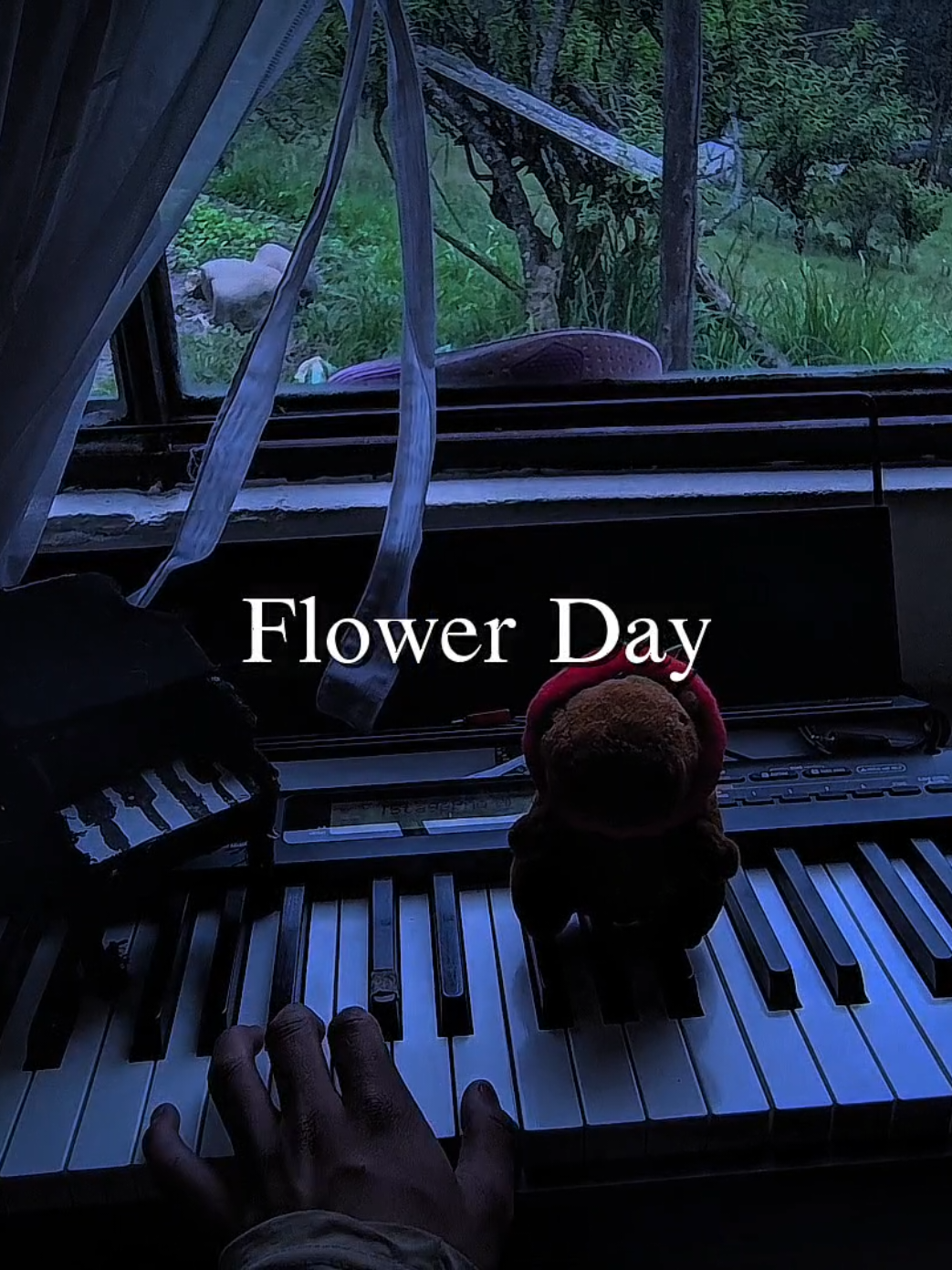 Flower Day - Piano - Esta canción me recuerda a un campo de flores en otoño :) #piano #pianotok #pianocover #fyp #viral 