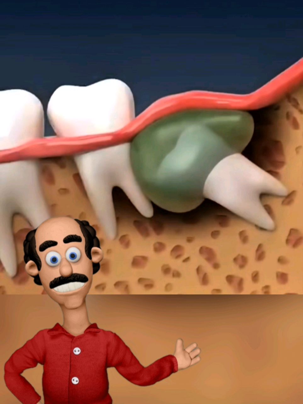#anatomia #fatos #fatoscuriosos #dente #dentesiso 