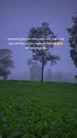 জাহান্নামের ফুটন্ত গরম পানিতে পরার চেয়ে, ভোর বেলায় ঠান্ডা পানি দিয়ে ওষু করে নামাজ পড়া উত্তম। #islamic_video #follower #foryou #foryoupage❤️ #like 