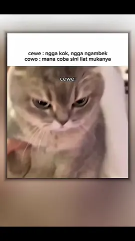 gak ngambek kok🗿#shorts#memes#humor #funnymeme #lucu 