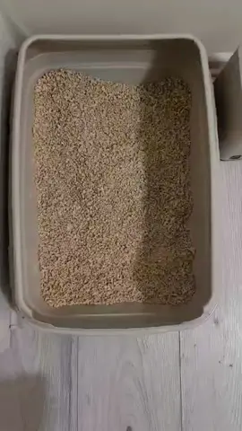 Ferrero kociarza 🤌🤌🤌