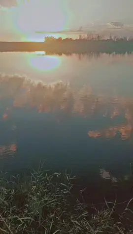 #هيه مشكله قتباسات #-