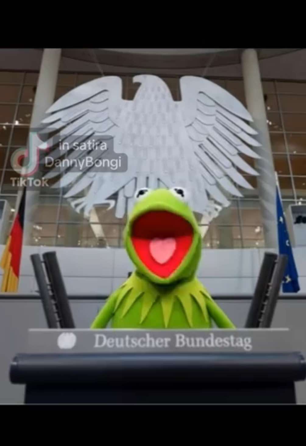 #muppetshow #bundestag 