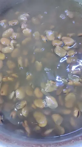 طريقة باكلة ذايبة بطريقة سهلة متاخذ وقت عشاق باكلة. هاي الكم طريقة لايك متابعة. اذا عجبتكم طريقة #اكل #اكلات #اكلات_سريعة #اكلات_لذيذه #اكل_صحي 