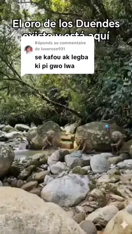 Réponse à @loverose931 #VoiceEffects #viralvideoouganfafaf #yamineyamal #toutlemonde🌍 #voudouhaitien🇭🇹🇭🇹🇭🇹 