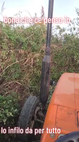 #fyp #perte #misterioso3_1 #videoviral #foruyou 