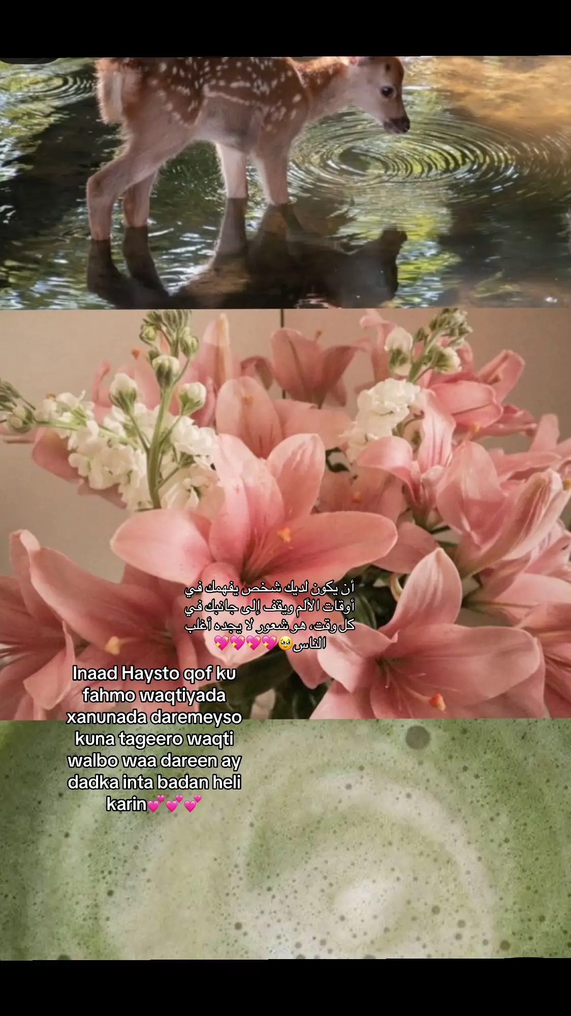 💖#vedioviral #💕💕💕 #❤️ 