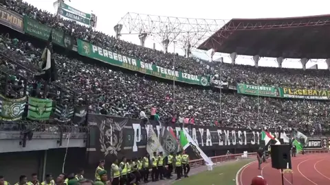 POZANA DANCE FROM GREENNORD27🔥🐊#greennord27 #persebaya #persebayasurabaya🐊💚 