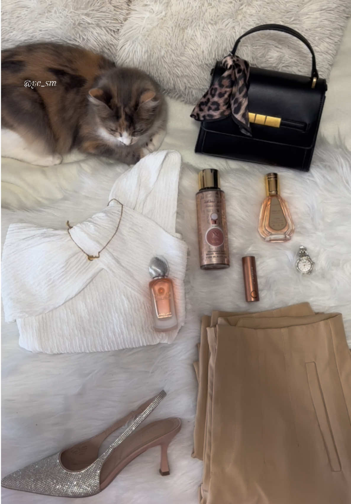 Outfit 🤎🍂 #fyp #catlover #aestheticvideos #ootdinspiration #girlssupportgirls 