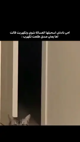 #capcutالشعب_الصيني_ماله_حل😂😂 #اكسبلورexplore #اكسبلور #tiktok 