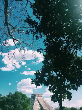 #LIVEIncentiveProgram #LIVEFEST2025 #MakeLIVECount #PaidPartnership #قران_كريم 