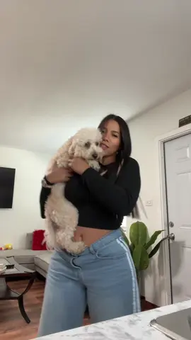 #migatito #miaumiau🐈 #miperrita #jaujau 🤭 