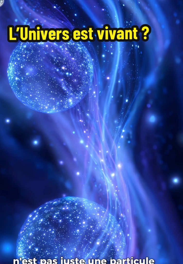 L’ADN peut stocker 215 pétaoctets par gramme. Assez pour stocker tout YouTube, tous les films de l’humanité, toutes nos archives numériques… dans une poussière invisible à l’œil humain. Et pourtant, on en transporte des milliards de copies dans notre propre corps. Quand on comprend ça, et quand on découvre que certains physiciens pensent que l’univers fonctionne comme un ordinateur quantique, alors une question commence à se poser : la vie est-elle un simple accident, ou la forme la plus parfaite de stockage d’information que l’univers ait trouvée ? 👉 J’ai publié une vidéo YouTube où j’explique tout en détail.  Ma chaîne : @arbredusavoirofficiel C’est là-bas que ça se passe !  #quantique #univers #space #ordinateurquantique #creatorsearchinsights 