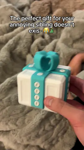 you think she liked it?😭😭#Siblings #ragebait #christmas #prank 