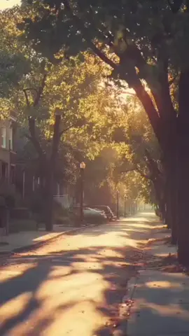 #INDIA_AJMEER🇮🇳 