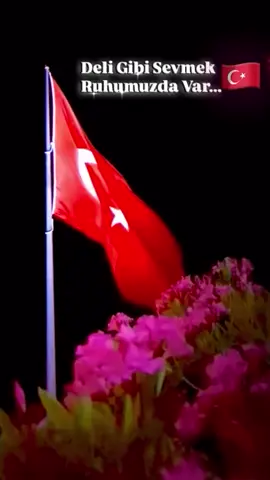 #Türkiye🇹🇷 #🇹🇷🇹🇷🇹🇷🇹🇷🇹🇷🇹🇷🇹🇷❤️ #istanbul🇹🇷 