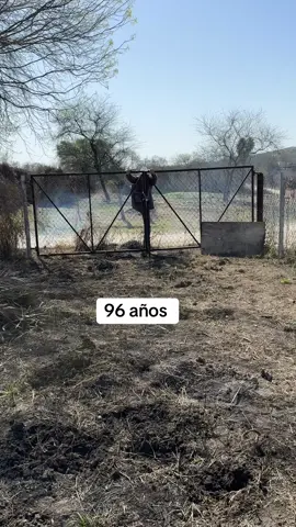 No encontré las llaves , pero recordé que traigo buenas rodillas gracias a la receta 🤠🌿