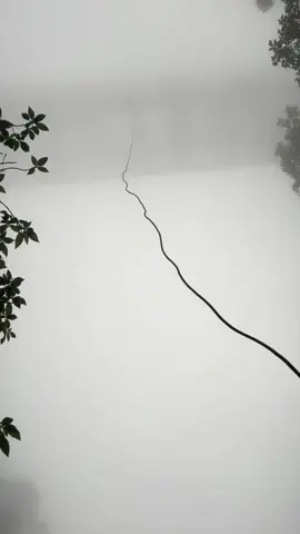 Que dlc de rapelzinho 😂 🇧🇷Geração rapel ⬆️⬇️🇧🇷  @cacadoresdeaventurassp Sigam  no Instagram @trekkingzonebr E no tik tok oficial @trekkingzone ##funicular#funicularparanapiacaba##trilha##rapel