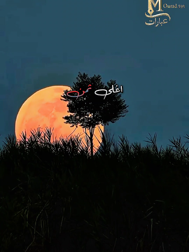 عبارات #creatorsearchinsights #اقتباسات #خواطر #عبارات #كلمات @عبارات 