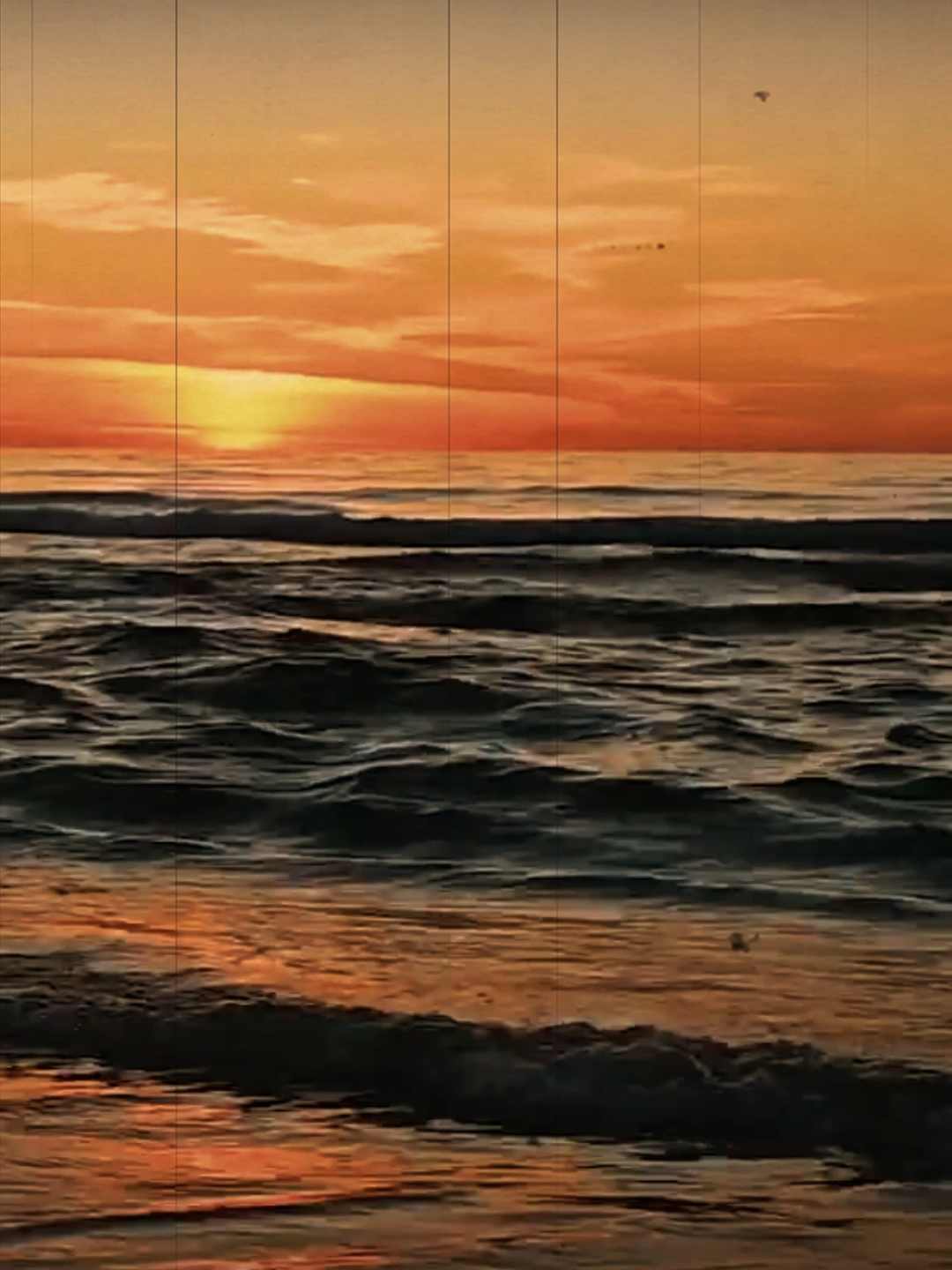 #amir_eid#أمير_عيد #أمير_عيد❤️ #أنا_نجم #أنا_نجم_بس_مفيش_سمااا⭐🌌