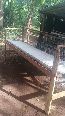 Así quedo para recibir los pollitos del día 1 al día 15 #pollodeengorde #campovenezolano🇻🇪 #incubadoradehuevos #gallinasenpastoreo 