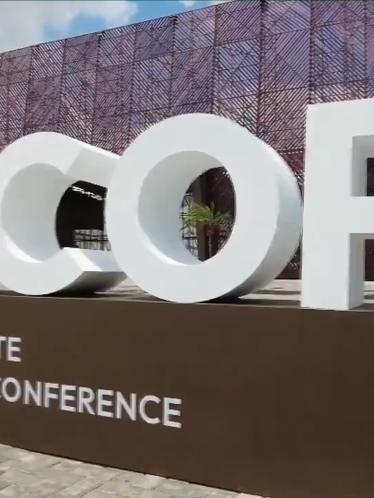 Experts praise China's green drive, urge collaboration for joint development. #COP30