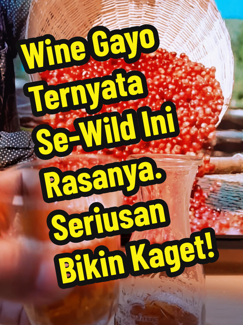 🌱 Kopi Specialty Terkurasi SCA World. #kopi #kopienak #gayowine #roastingkopi #baristaindonesia 