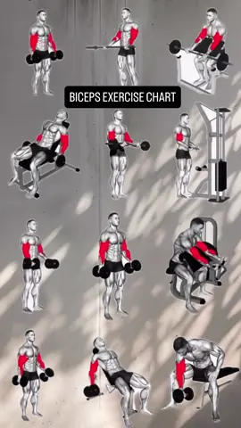 #gym #تمارين_منزلية #weightlifting #رفع_اثقال #workoutroutine 