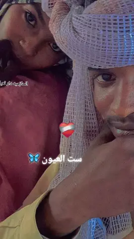 🦋🦋🦋🦋🦋🦋