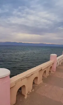 #حقل #tabak #4u #tiktok 