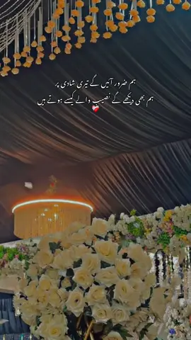 ❤️‍🩹#shaniwrites28 #unfreezemyacount #foryou #sadpoetry #foryoupage 